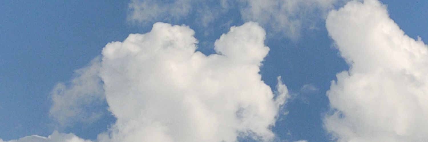 Triadindadef's profile banner image