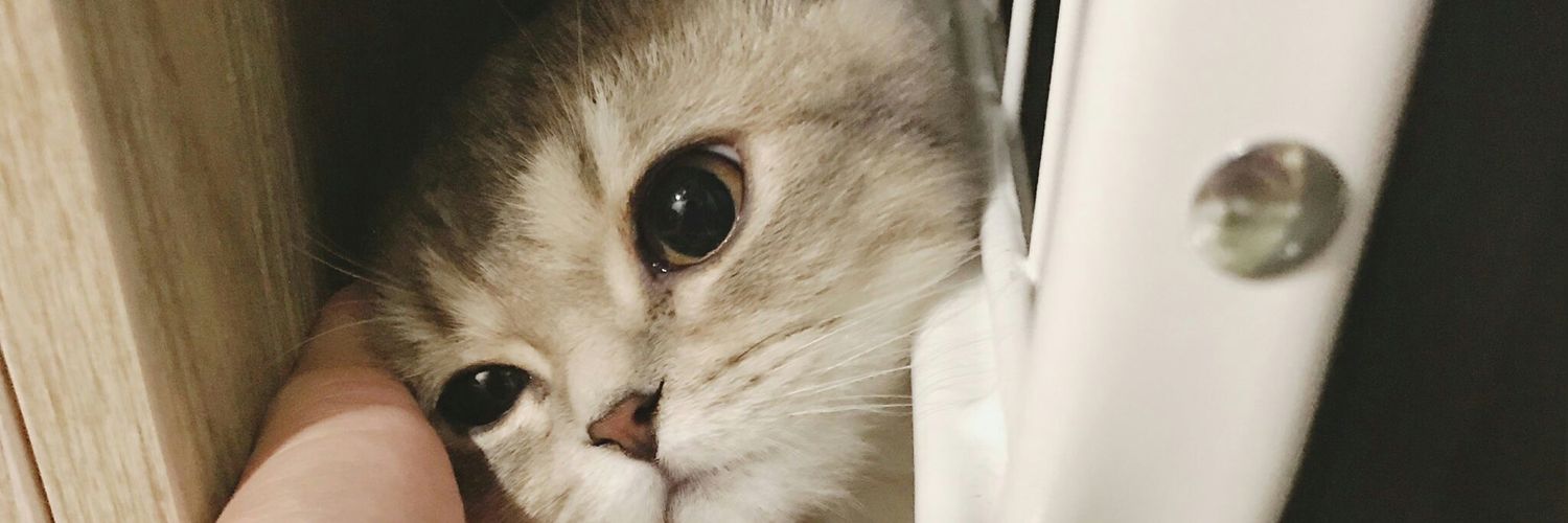 Chompooooooo2's profile banner image