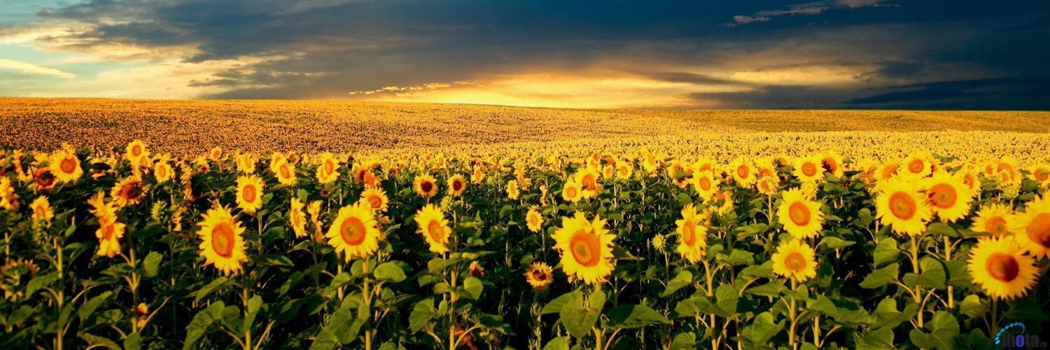 @alloy@mastodon.social banner