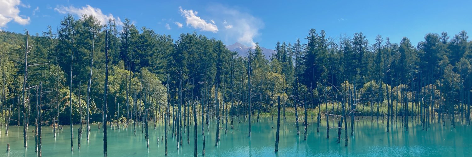 채채🎗️ banner