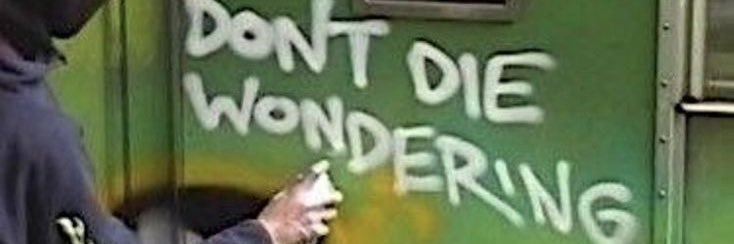ogrodri banner