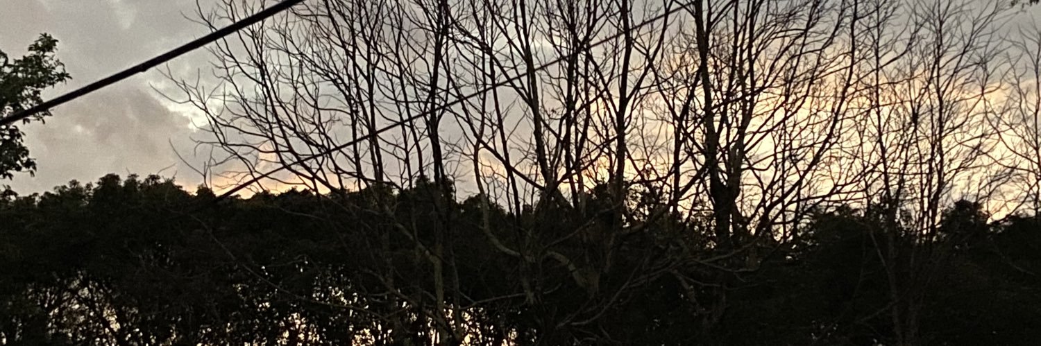 murilo UR (último romântico) banner