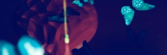 𝙎𝙚𝙧𝙞 banner