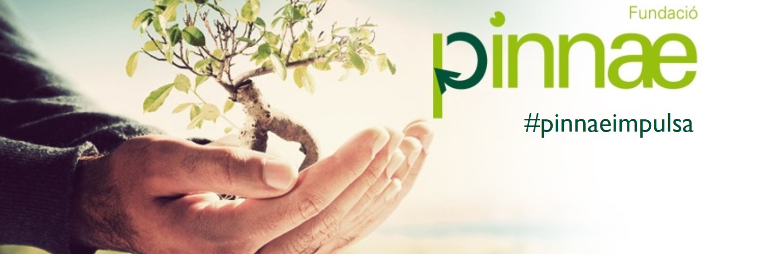 FundacioPinnae's profile banner image