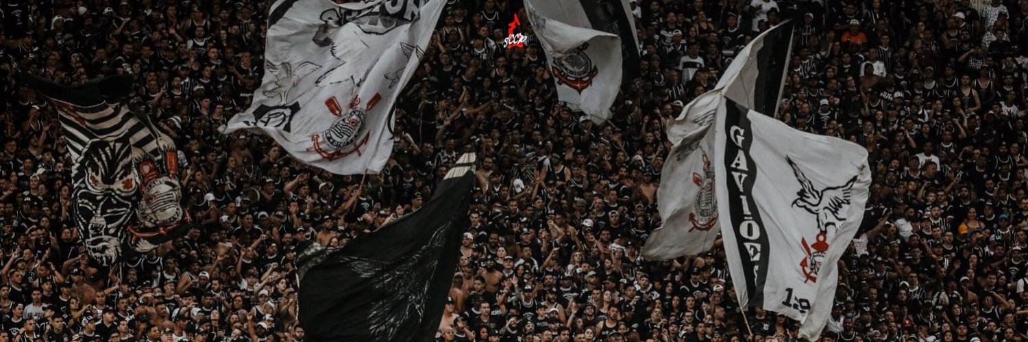 edubfg's profile banner image