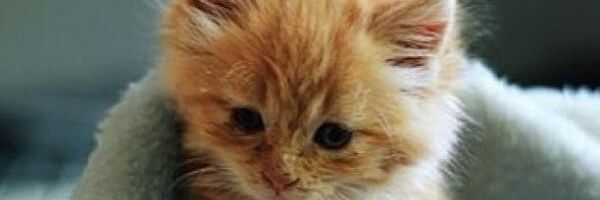 drunk_kudi's profile banner image