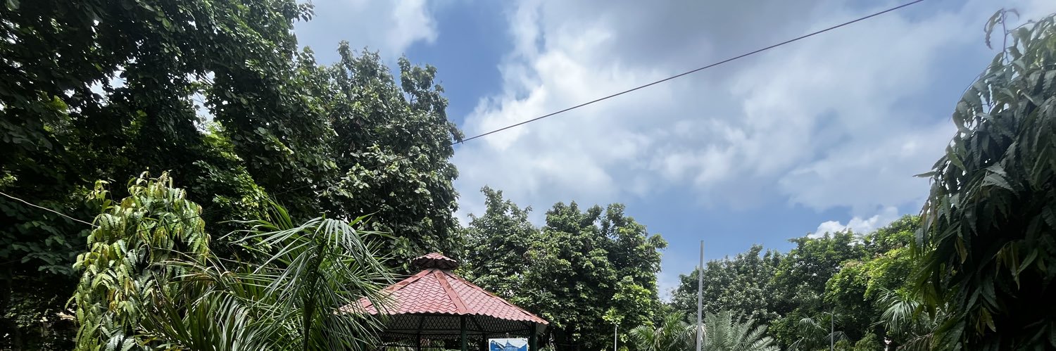 Samurai Jack 🗡️ banner