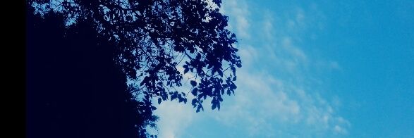 1_hvna's profile banner image
