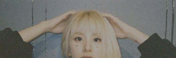 Ponya Roseeee banner