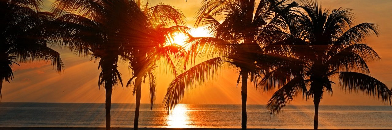 ratte01 &nbsp;4x💉 banner