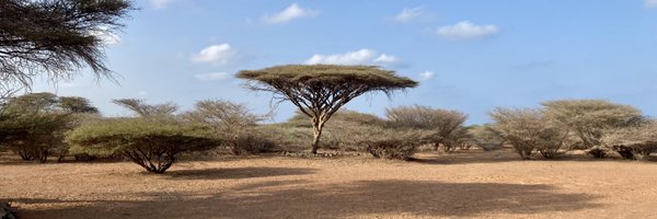 clouzeau_b Profile Banner