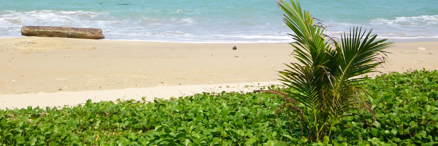 BlindianProject banner