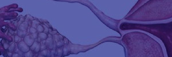 EJGO_IMR Profile Banner