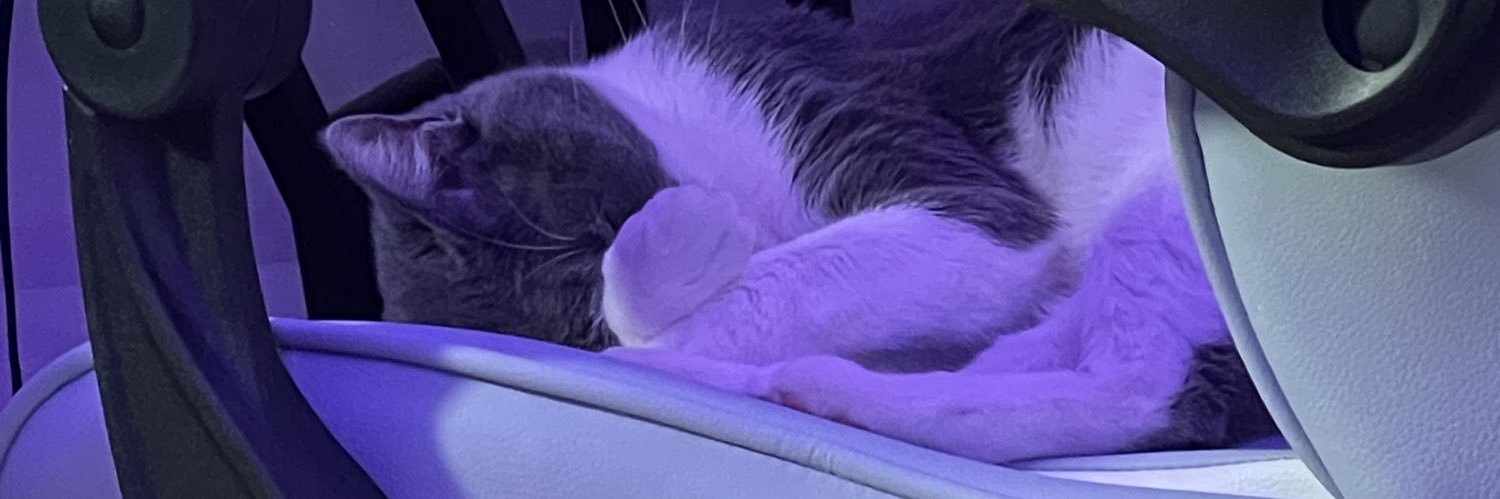 春雨-ʜᴀʀᴜꜱᴀᴍᴇ- banner