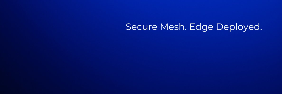 Beechat Network Systems banner
