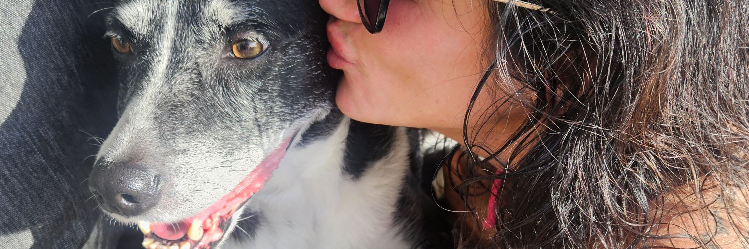 John Snake🇺🇸🤘🎶 banner