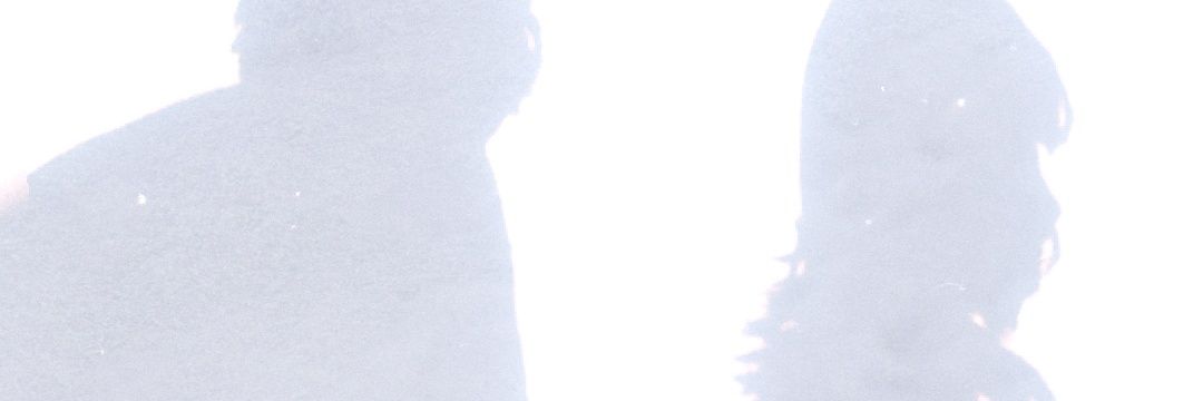 catherine_strk's profile banner image