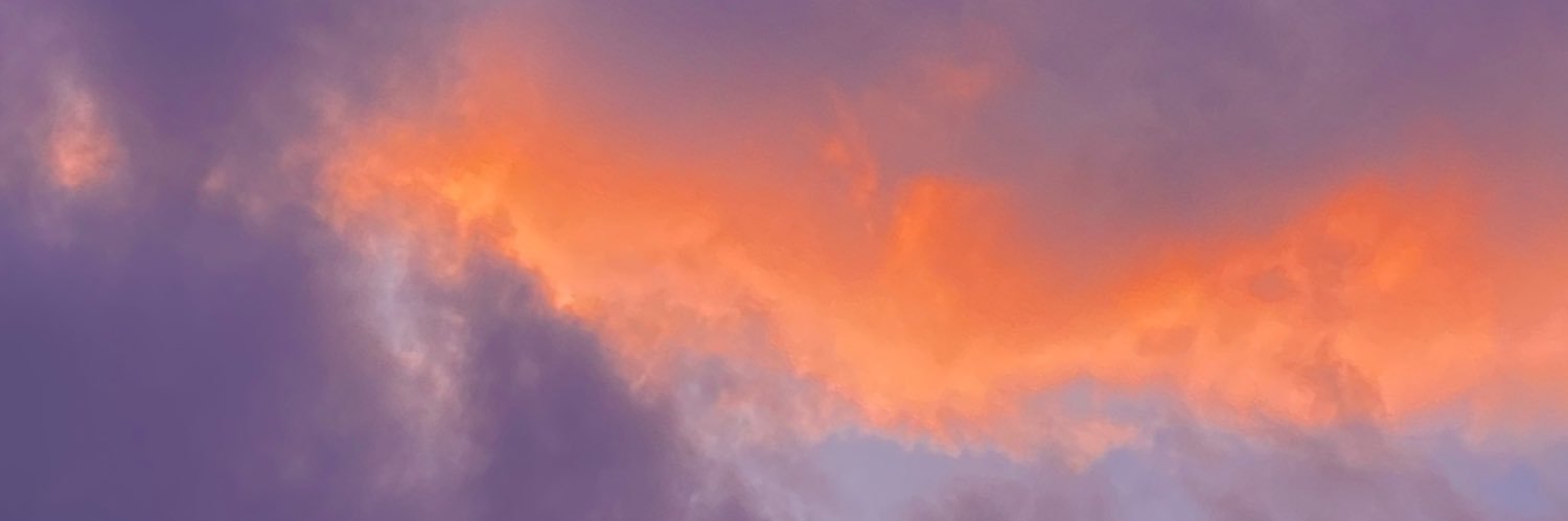 lvskgrls's profile banner image
