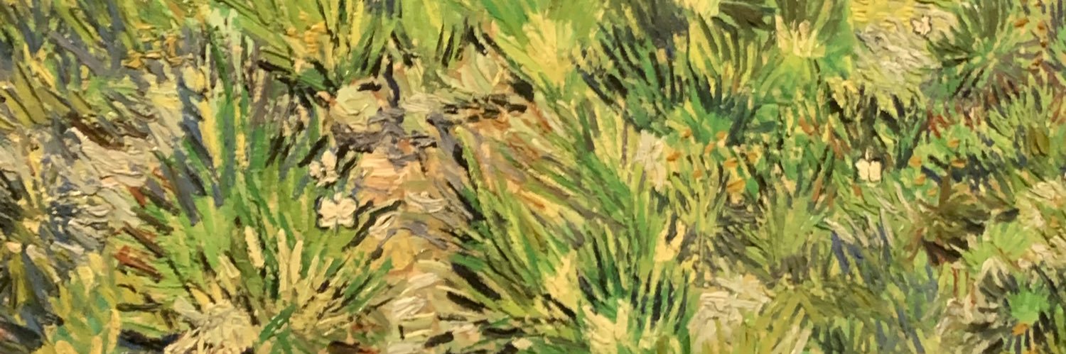 🌻Seywun☁️ banner