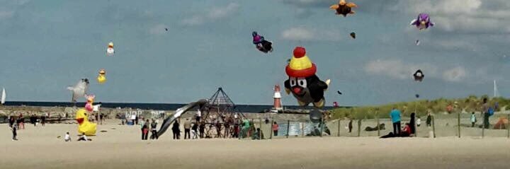 Alexandra Brunner banner