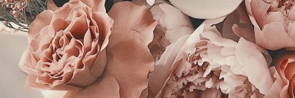 Sarikokos's profile banner image