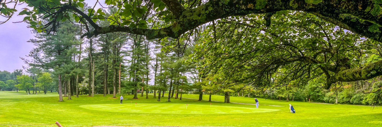 Gawain Nanaumi banner