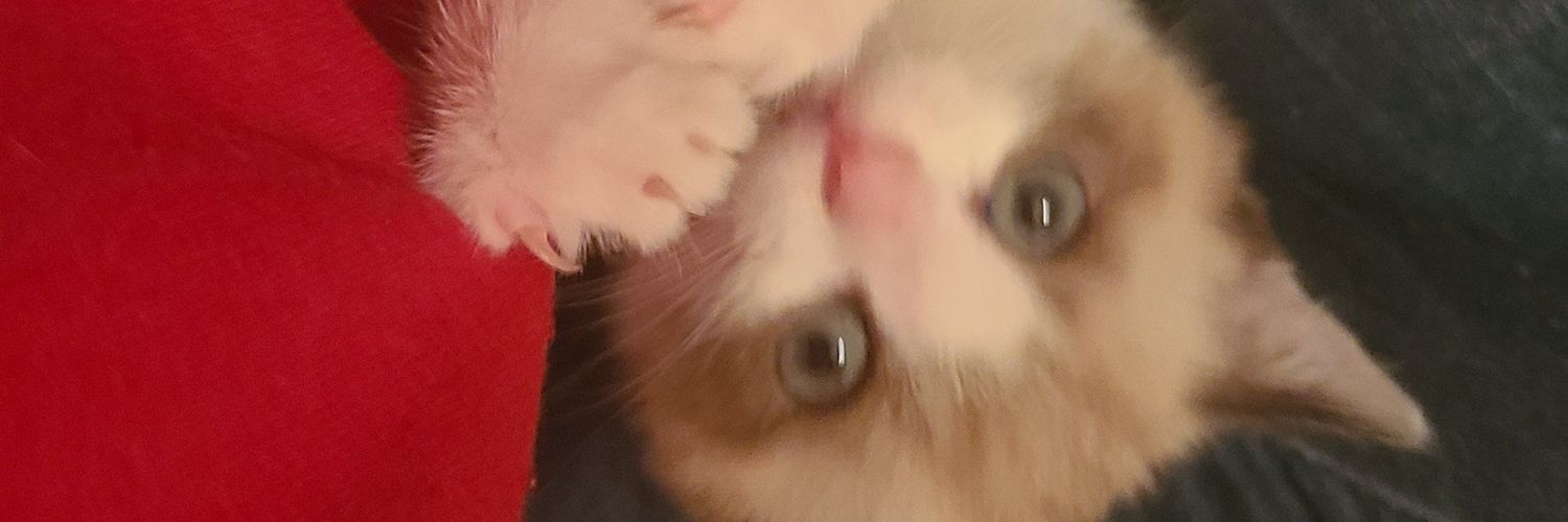 jamitiny's profile banner image