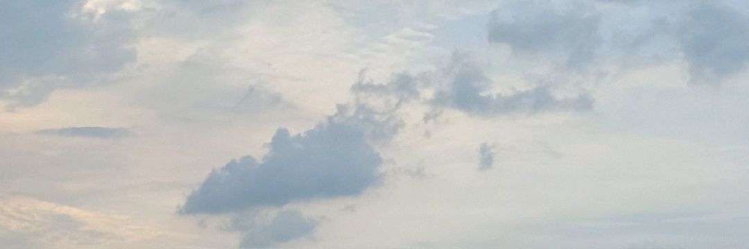f banner
