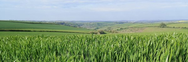 DavidCollierSW Profile Banner