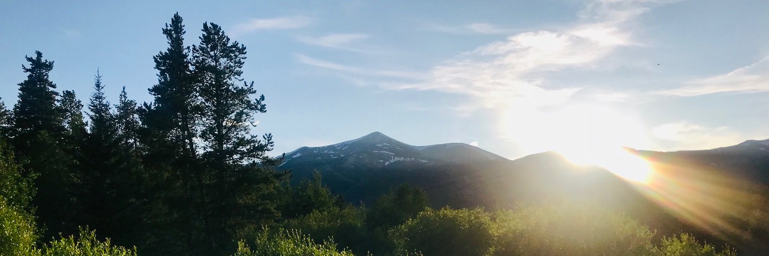 Christina Cutter MD MSc banner