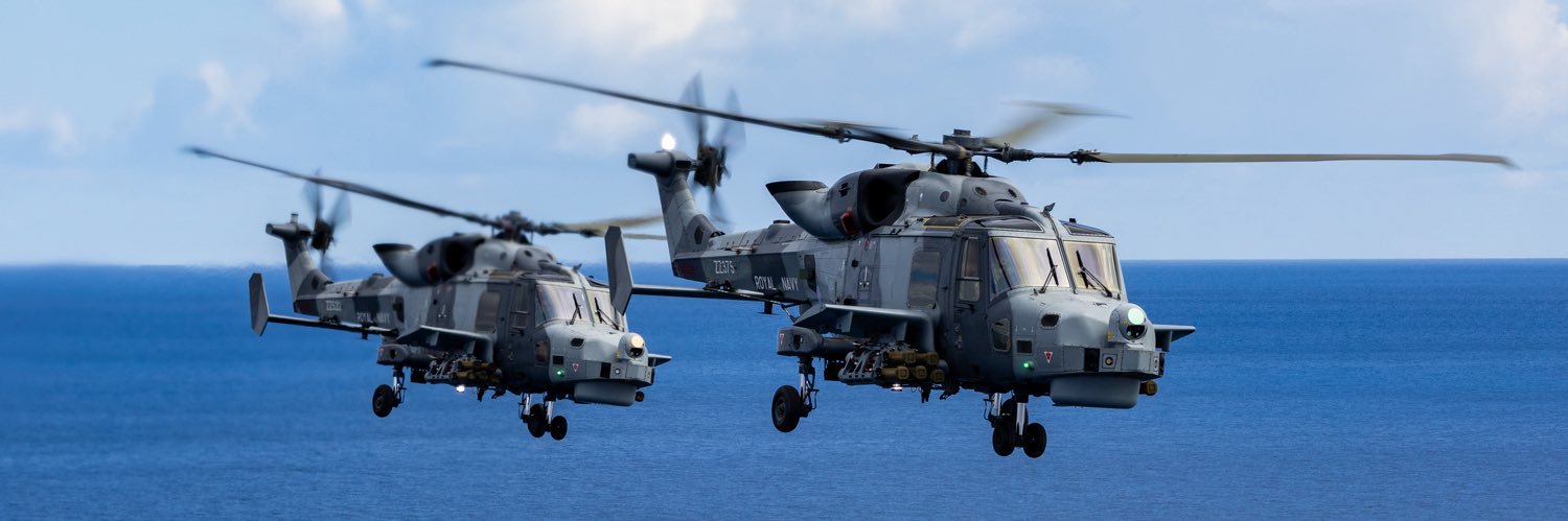 815 Naval Air Squadron banner