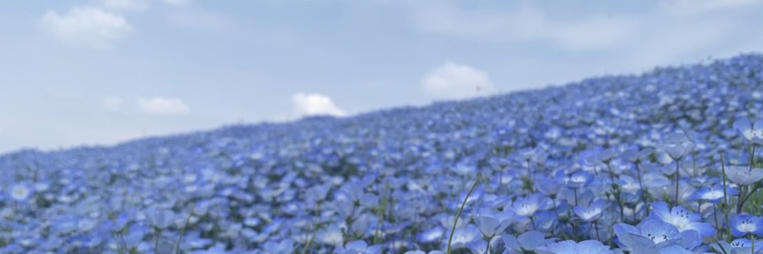 maming_kp's profile banner image