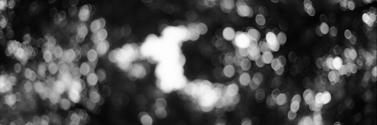 maksym banner