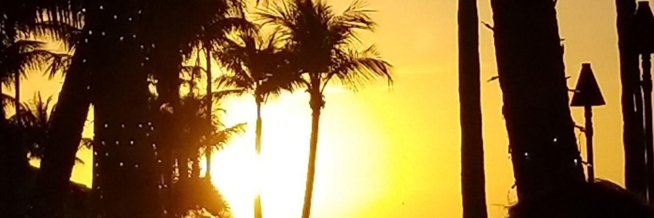 bcole1225's profile banner image