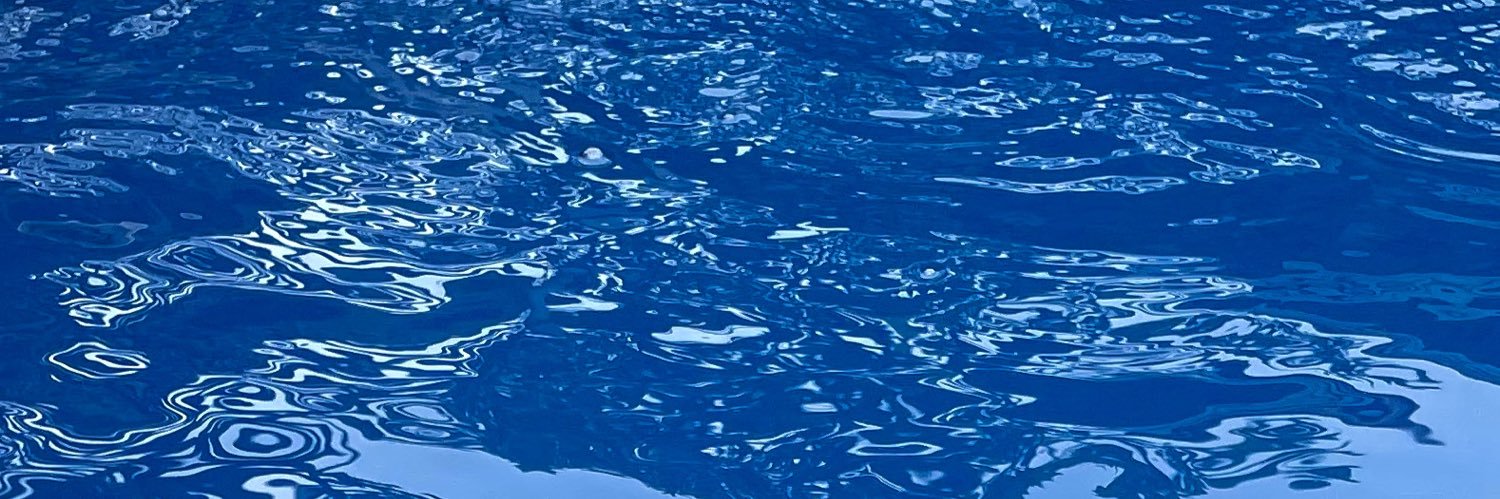 danzerppp's profile banner image