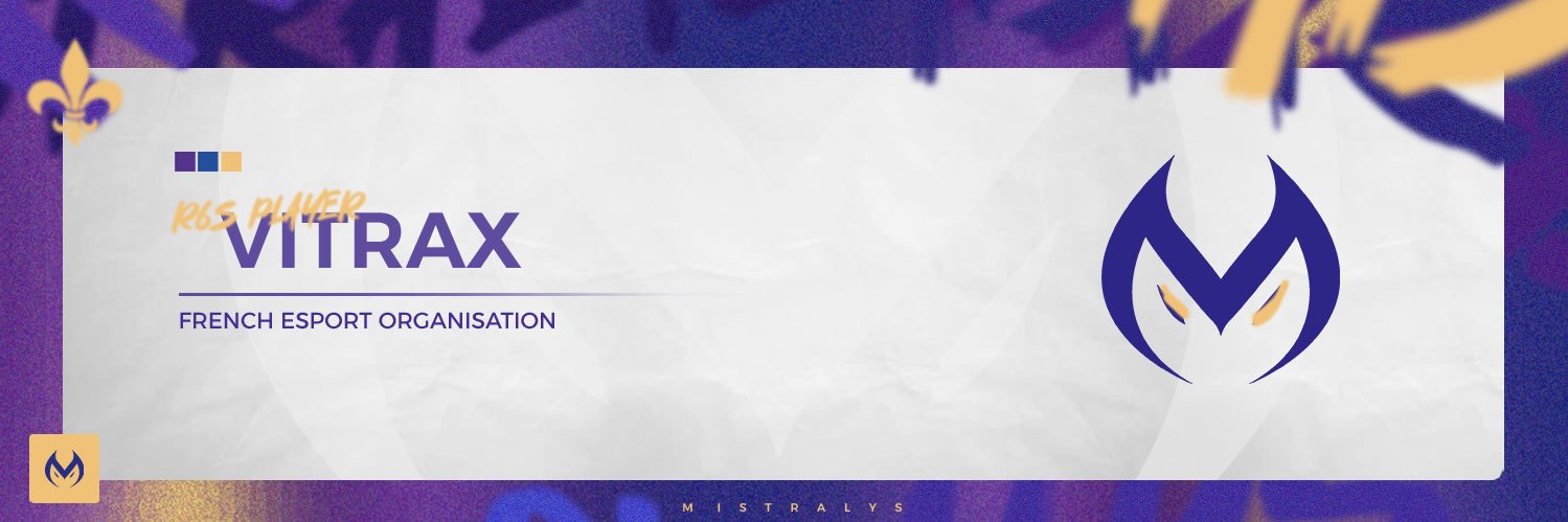 Eddy " VitraX" banner