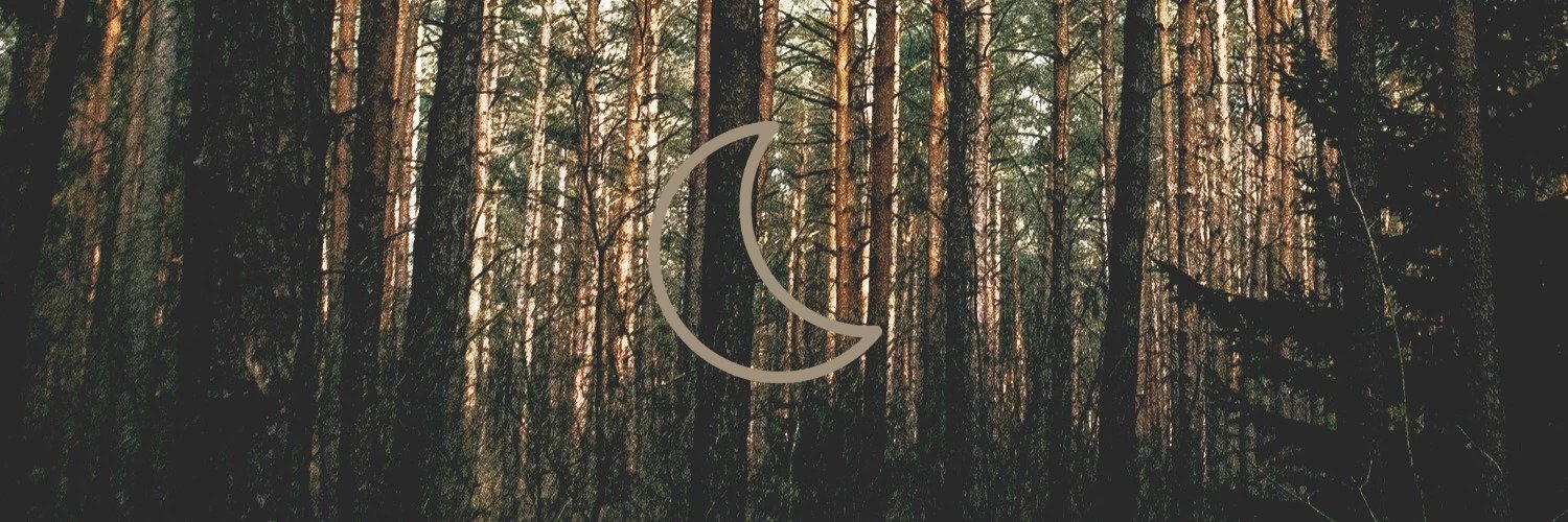 𝐑𝐄𝐌𝐔𝐒 𝐉. 𝐋𝐔𝐏𝐈𝐍 banner