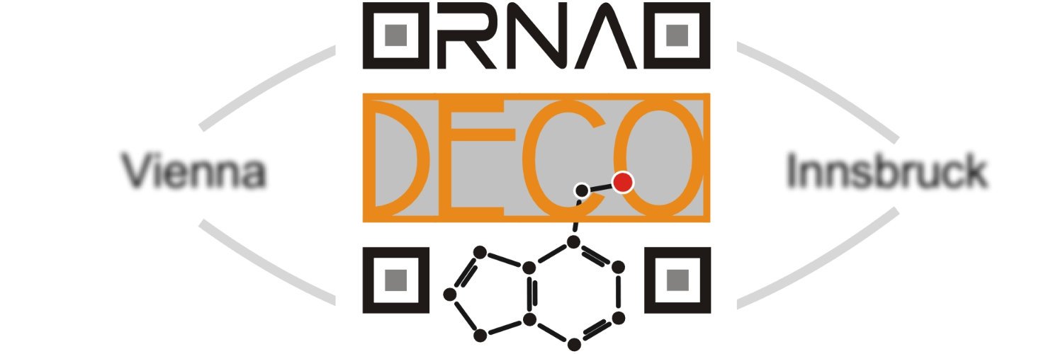 Decorating RNA for a Purpose banner