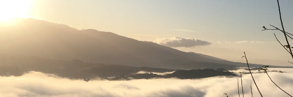numinous_the's profile banner image