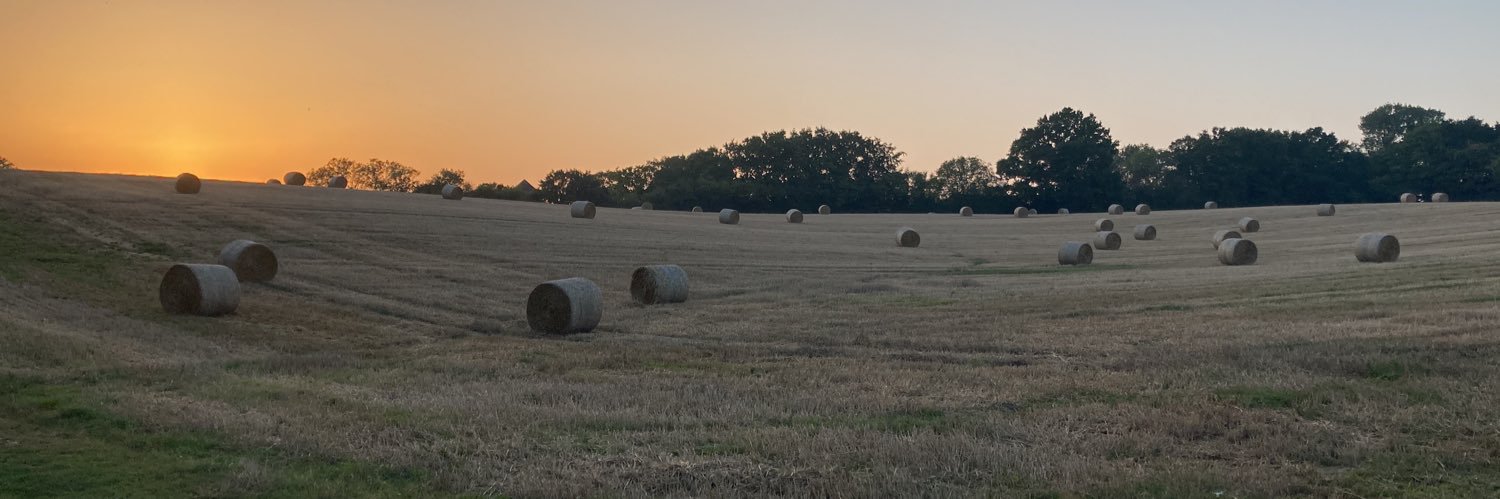 thorringtonfarm's profile banner image
