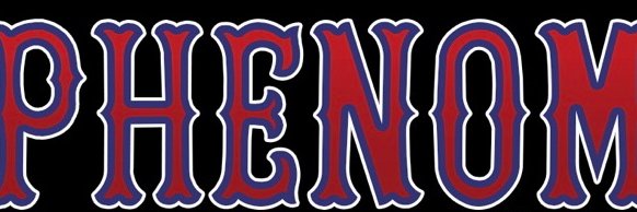 Phenom Baseball NY banner