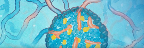 TheHPAP Profile Banner