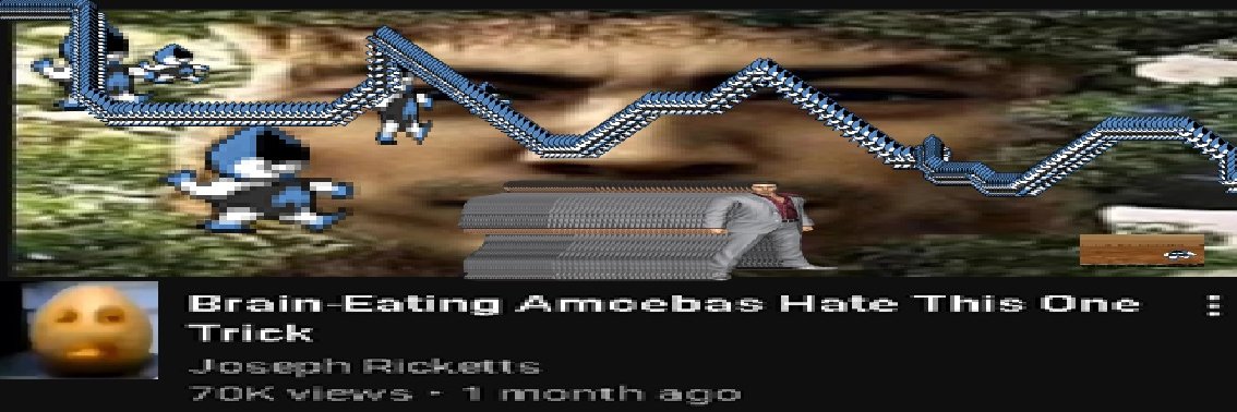 Bon's banner