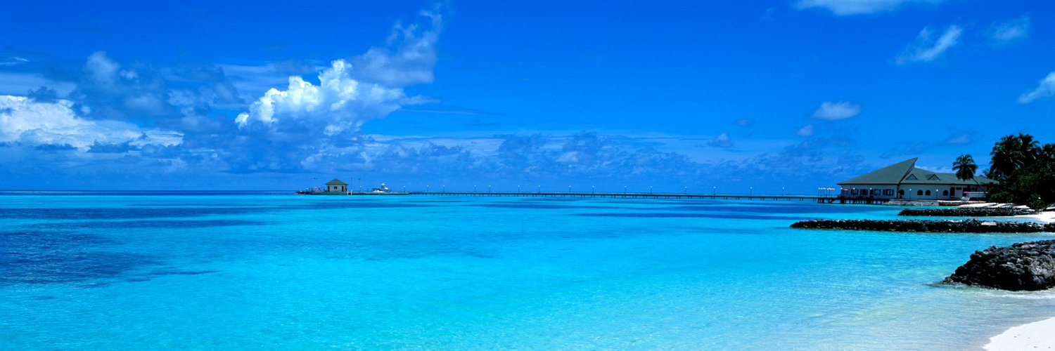 alexminsong1's profile banner image