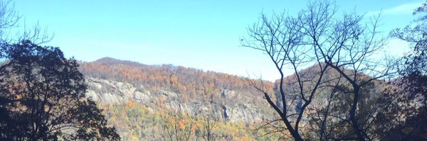 ZooBotLMS Profile Banner