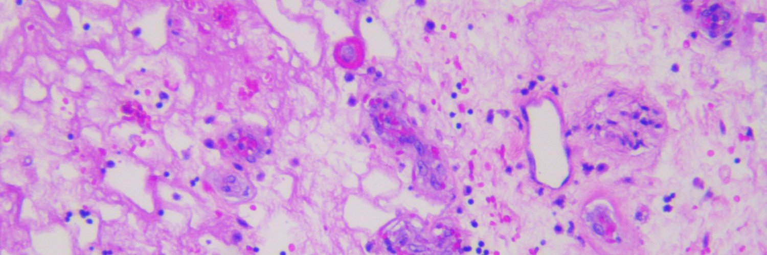 Panakeia Technologies banner