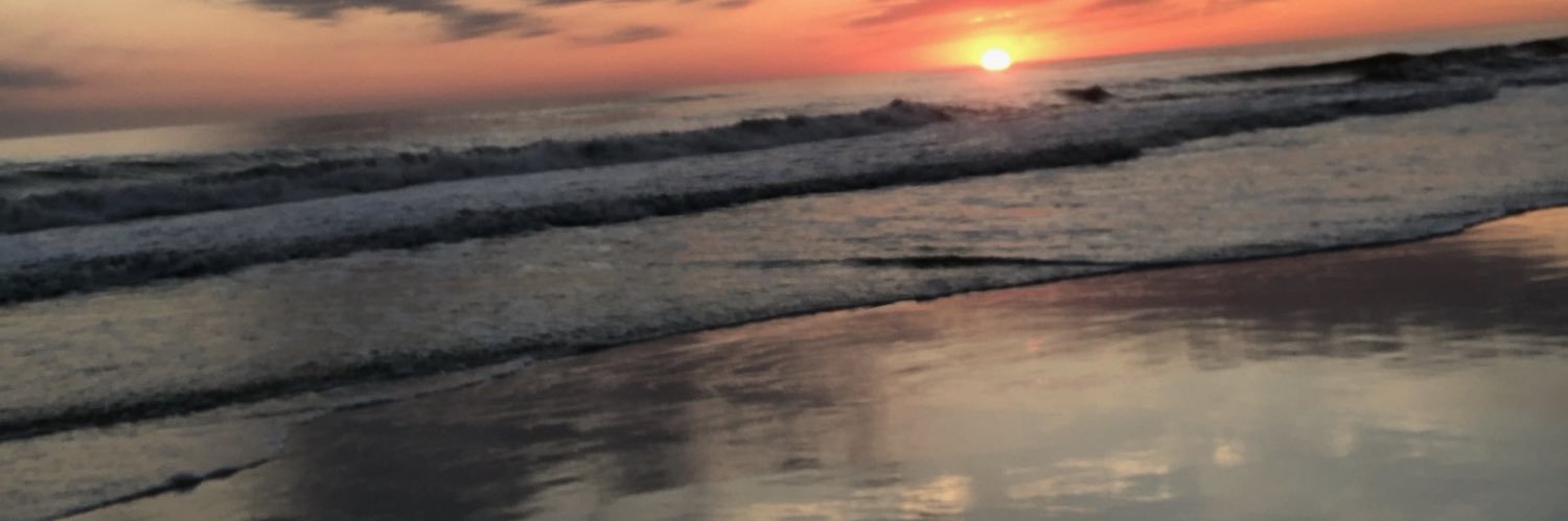 Scheree Martin banner