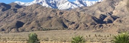 Lucie Arnaz Luckinbill banner