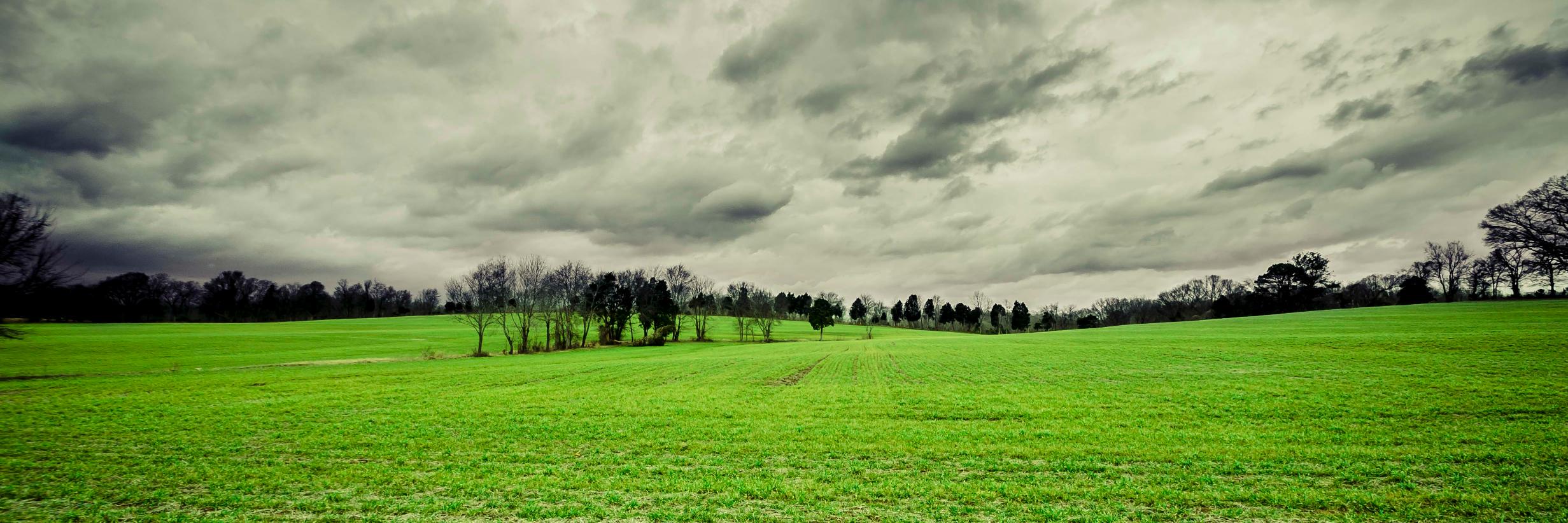 TylerDOlson's profile banner image