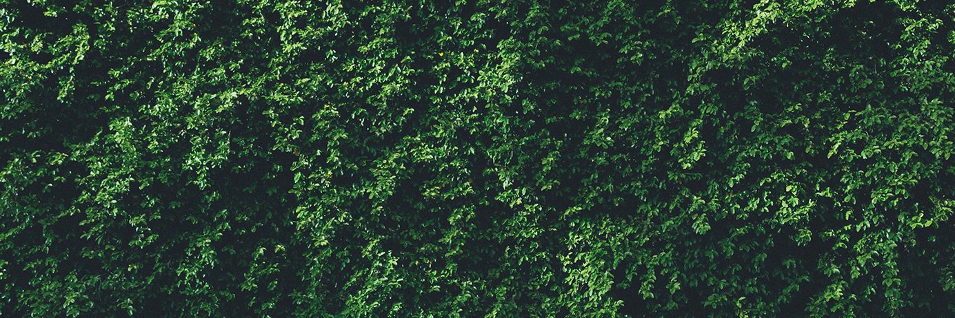 gildesaant's profile banner image